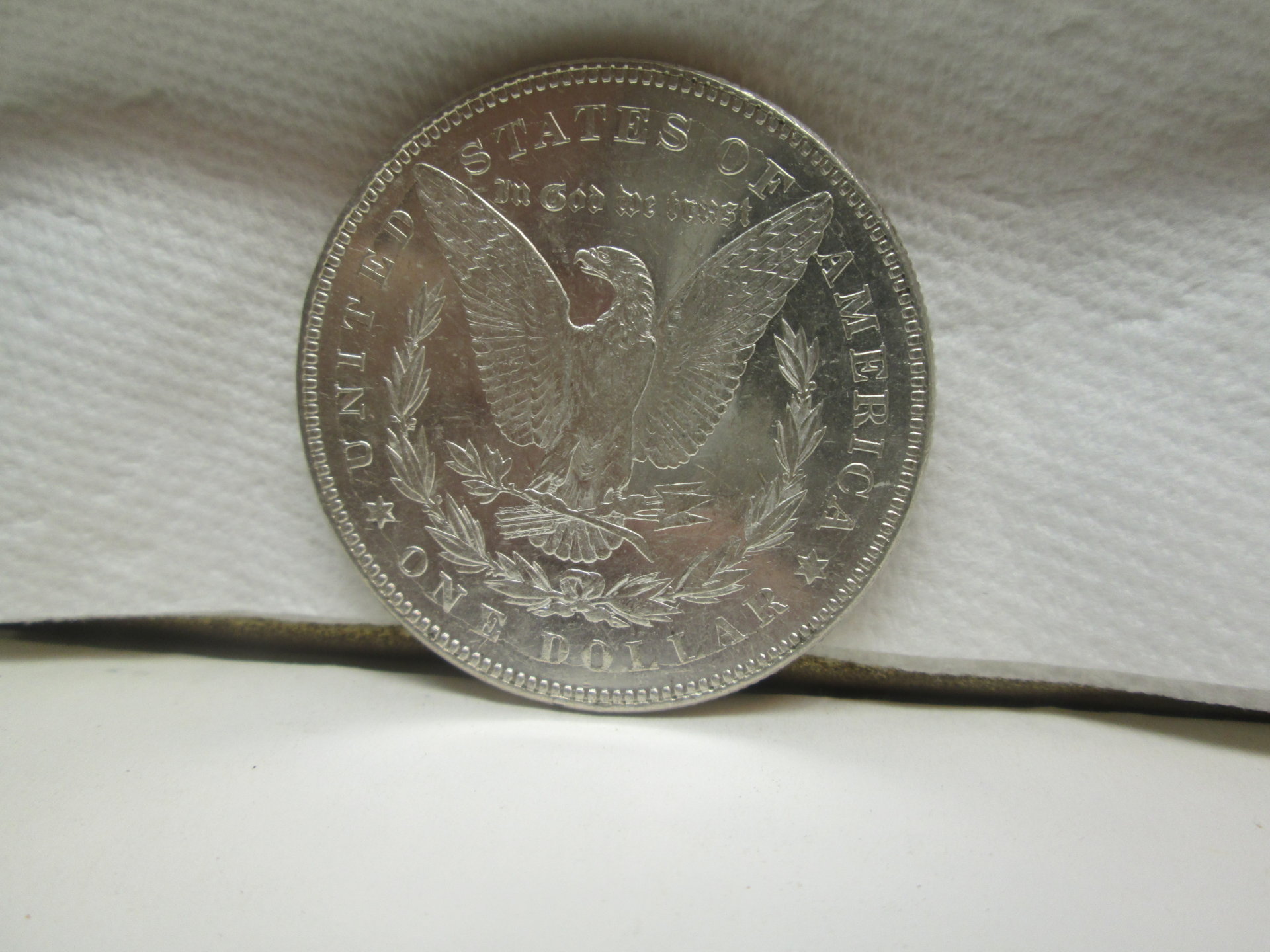 MORGAN 006.JPG
