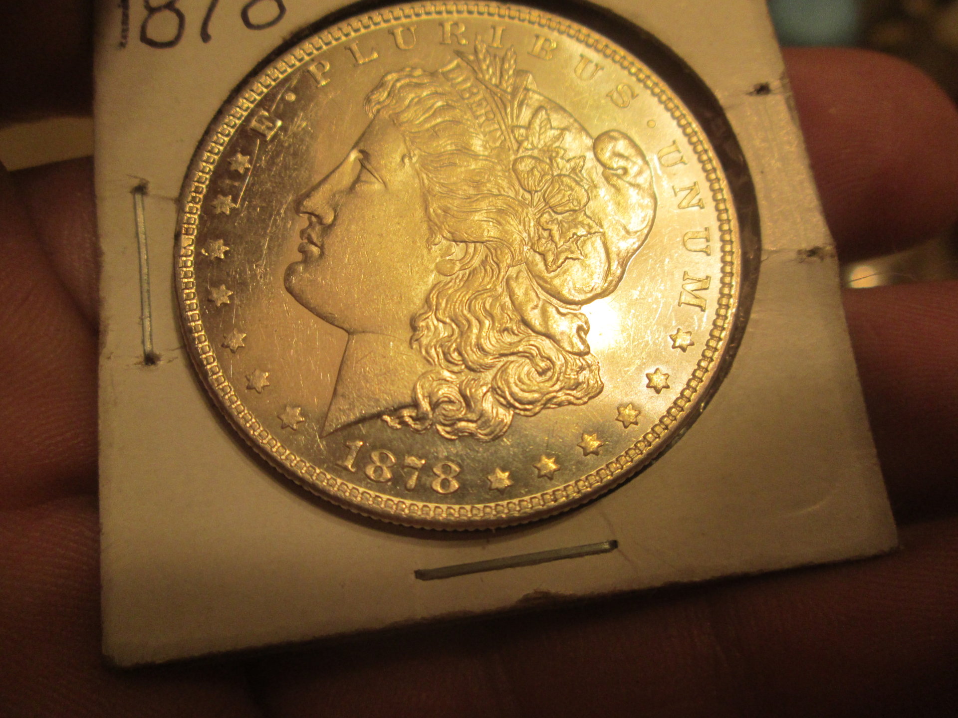 morgan 008.JPG