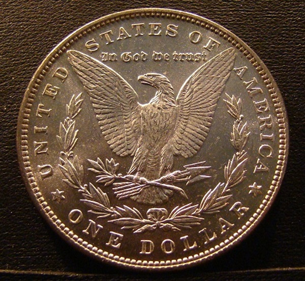 morgan (13).JPG