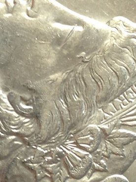 Morgan 1887 obverse close-up hair.jpg