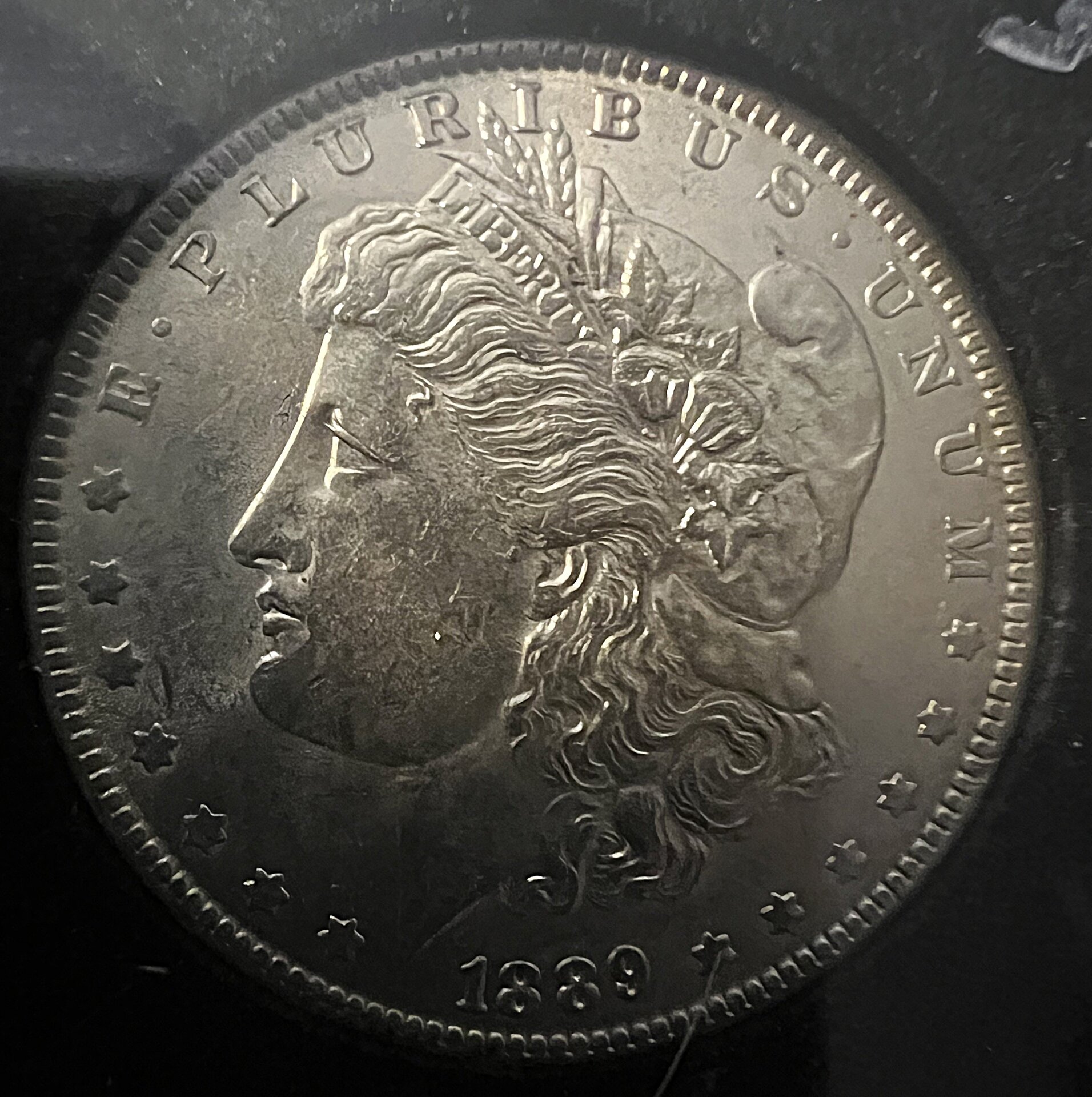 Morgan `1889 P Obverse.jpg