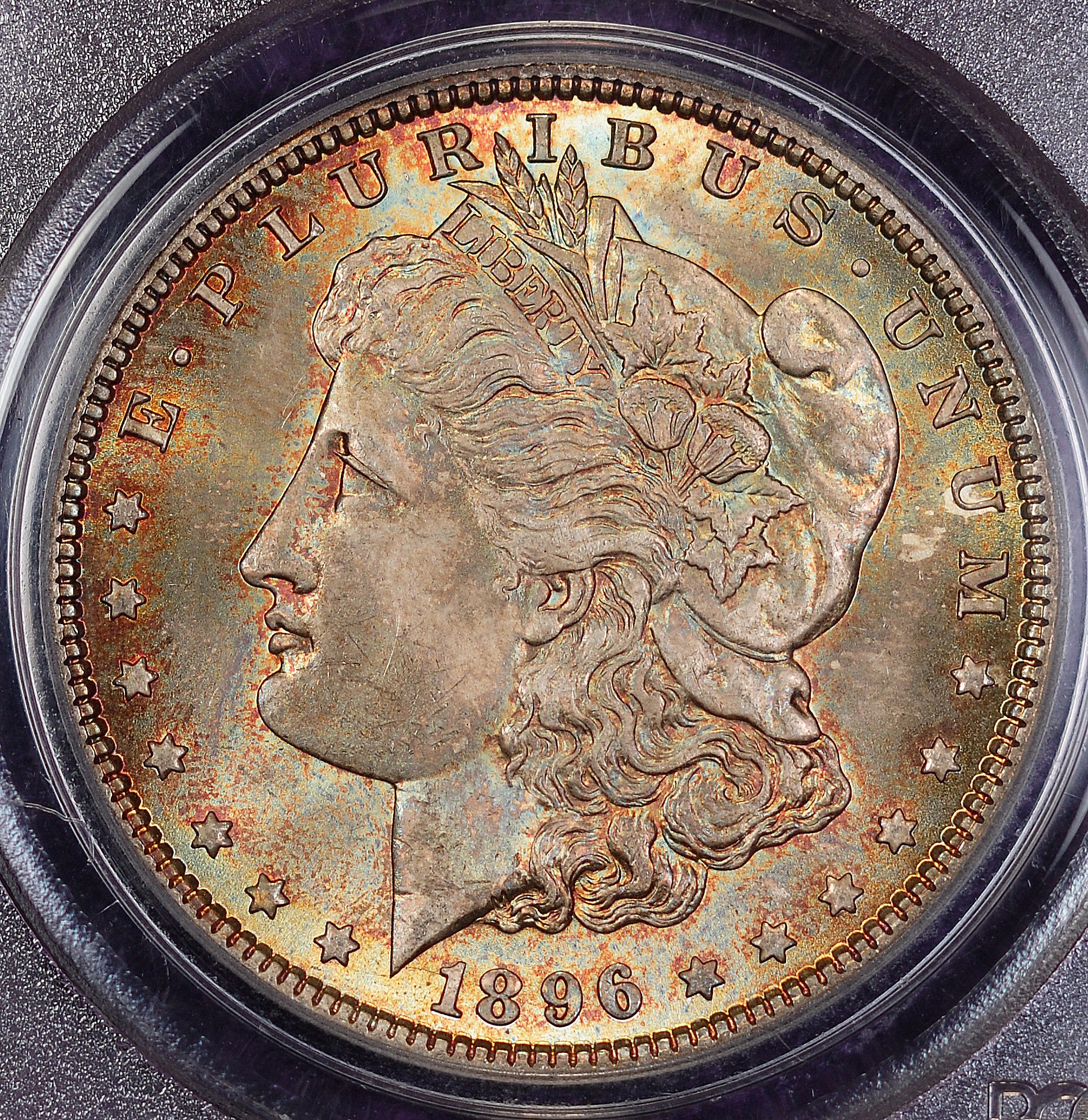Morgan 1896 toned obv.jpg