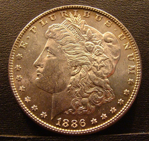 morgan (2).JPG