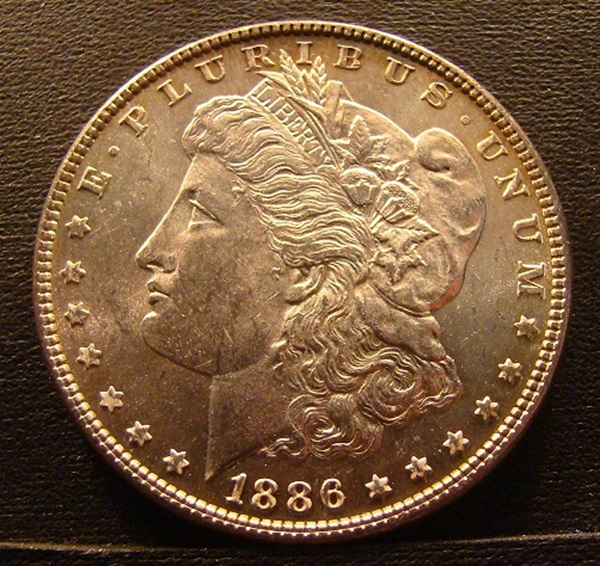 morgan (2).JPG
