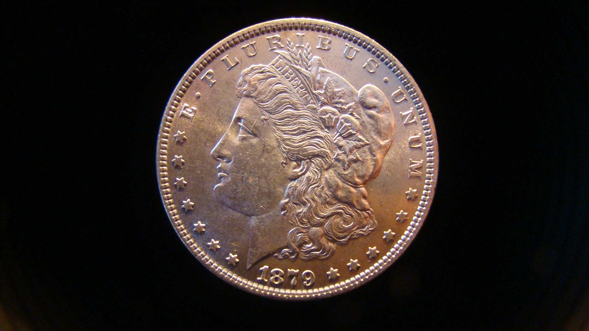 morgan (3).JPG