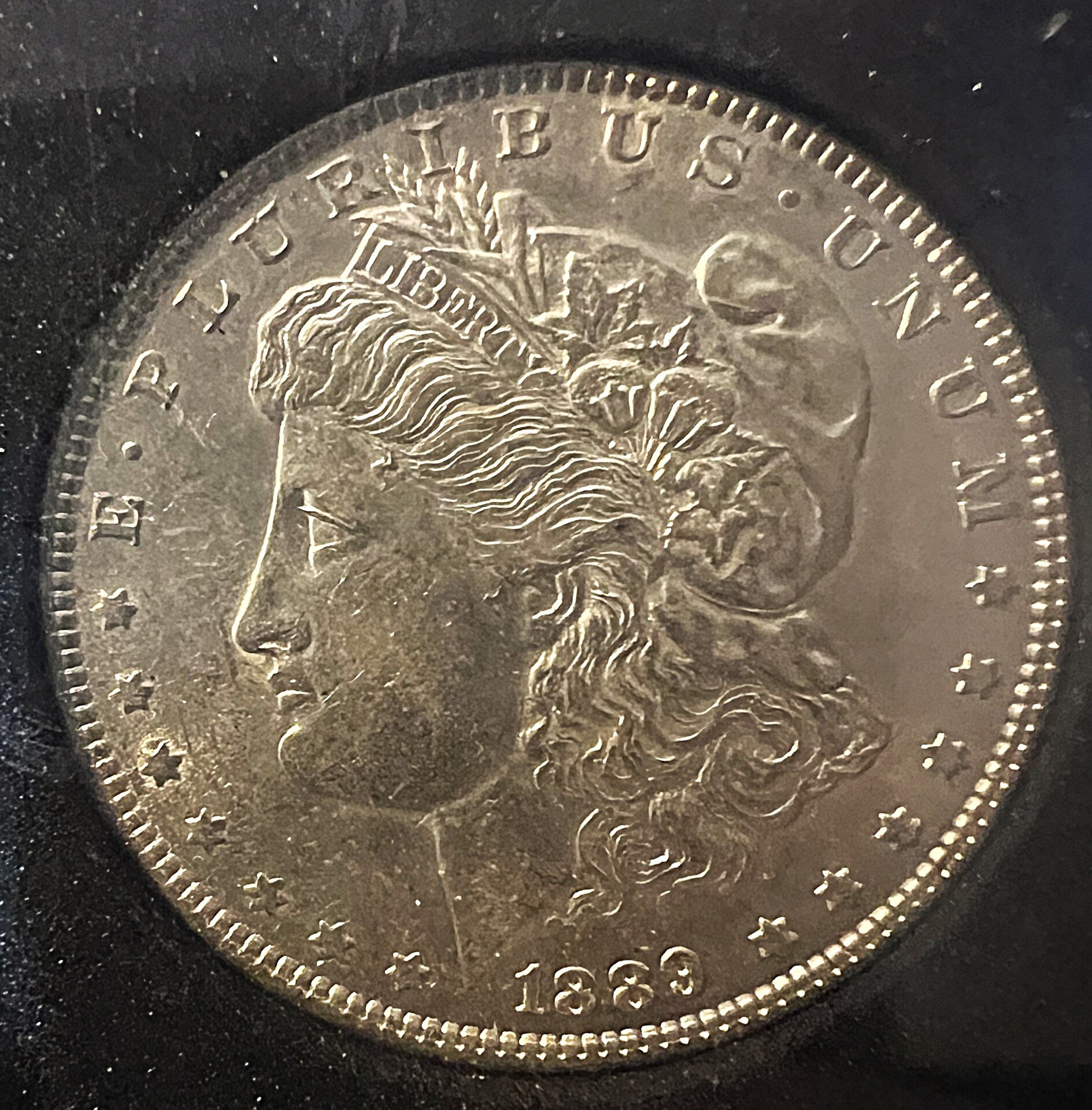 Morgan 89 P obverse.jpg