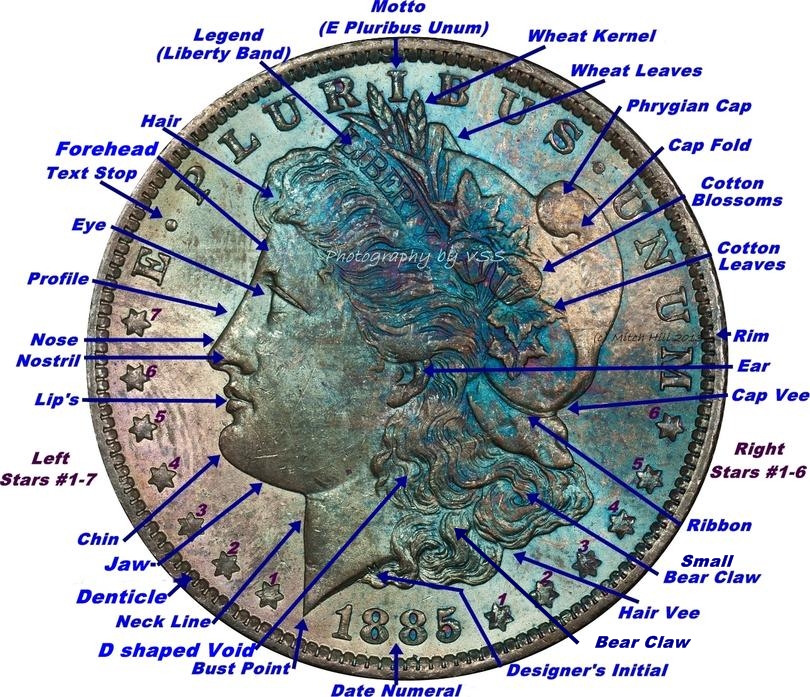 Morgan diagram.jpg