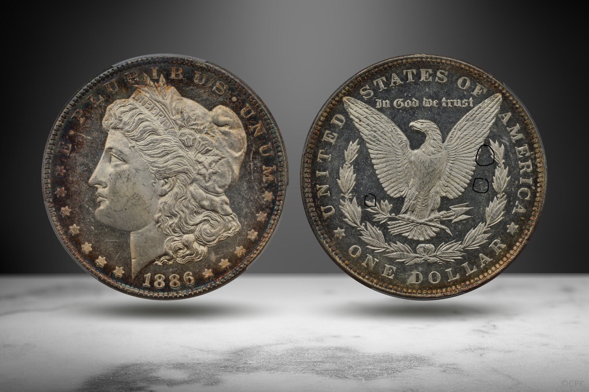 Morgan Dollar 1886 v2.jpg