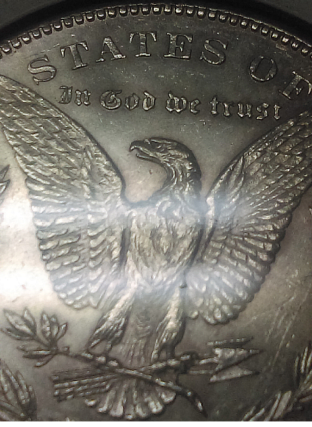 morgan dollar close up new.png