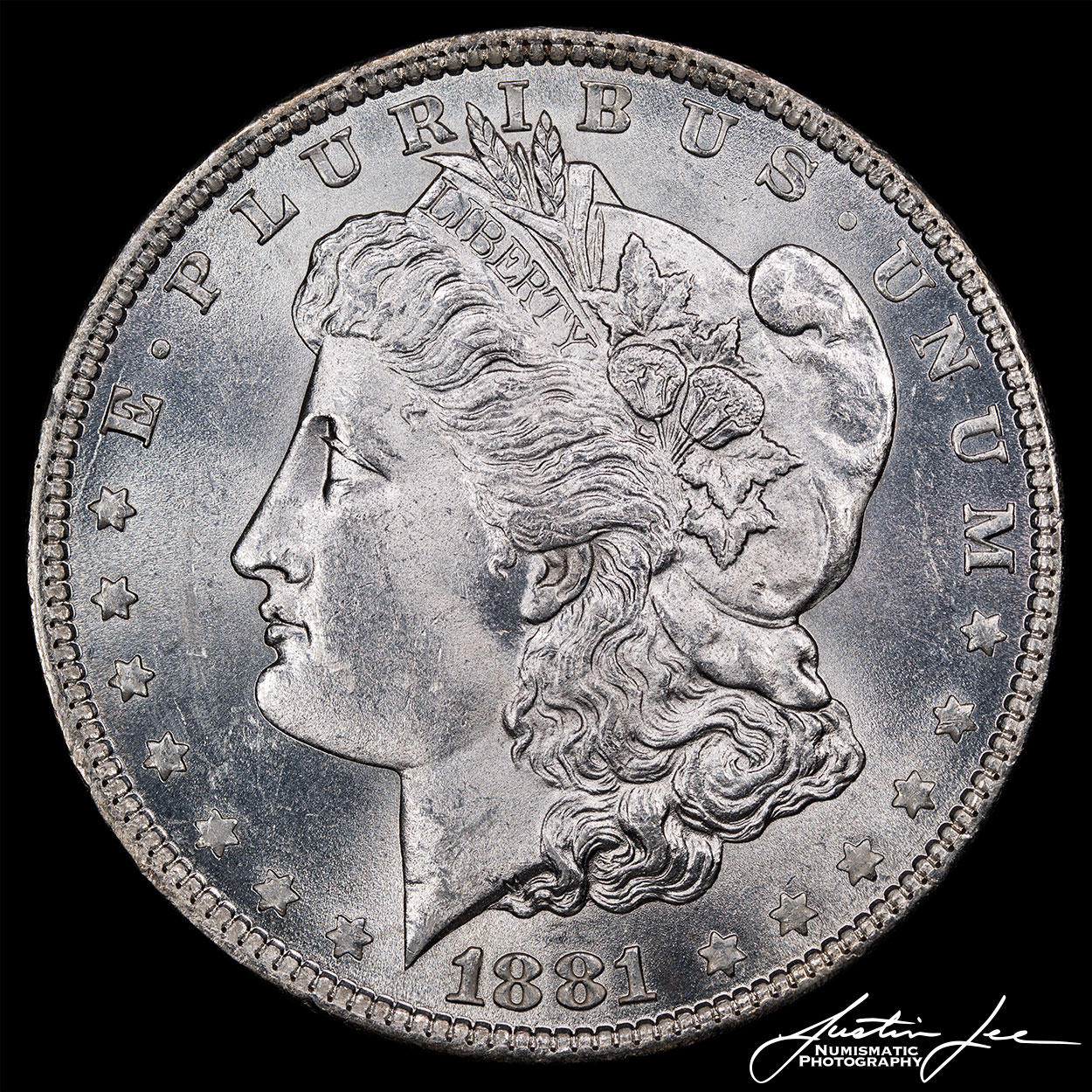 Morgan-Dollar-Obverse-2.jpg