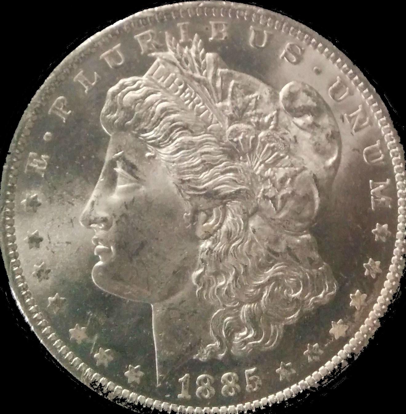 morgan dollar123456789.jpg