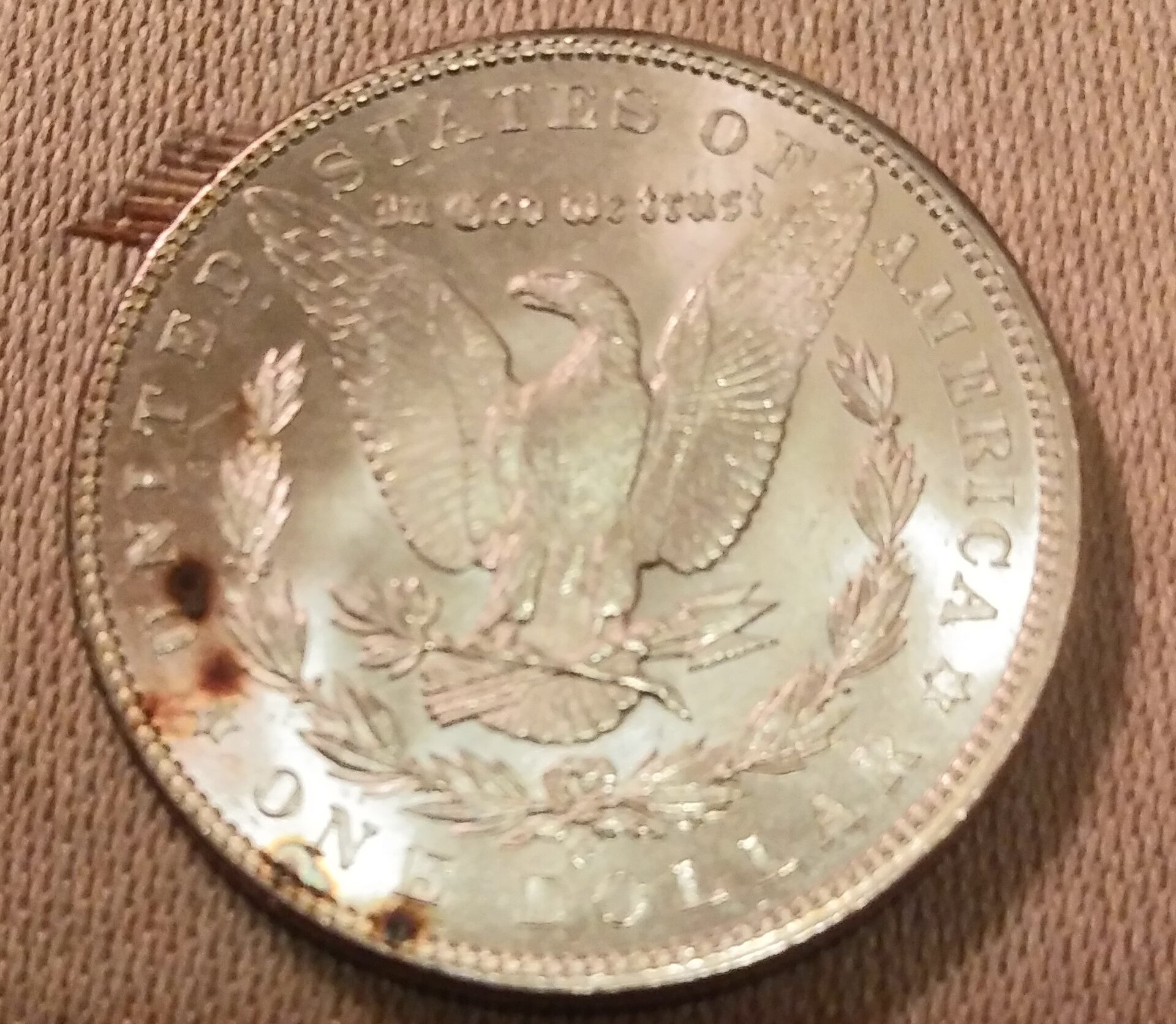 Morgan reverse dipped.jpg