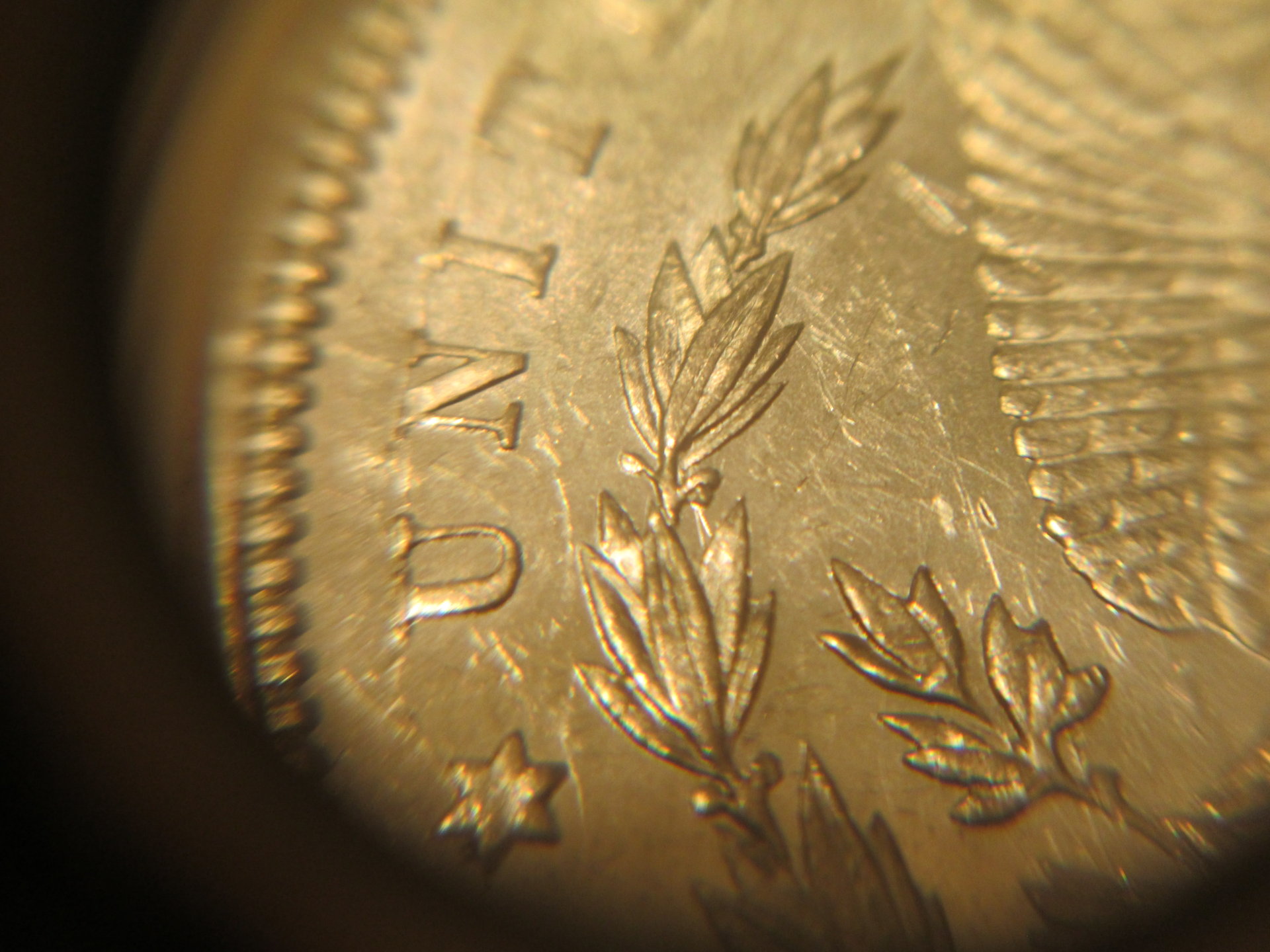 morgan scratch 001.JPG