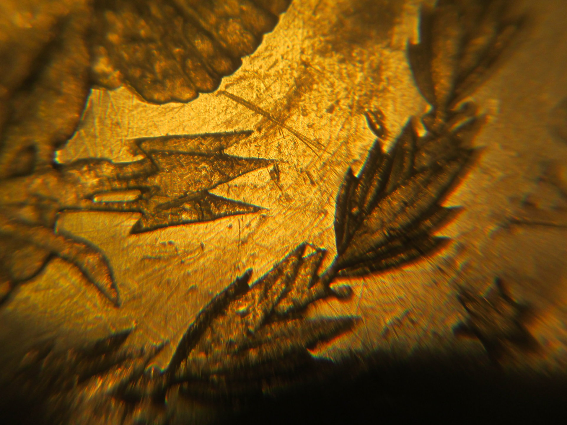 morgan scratch 004.JPG