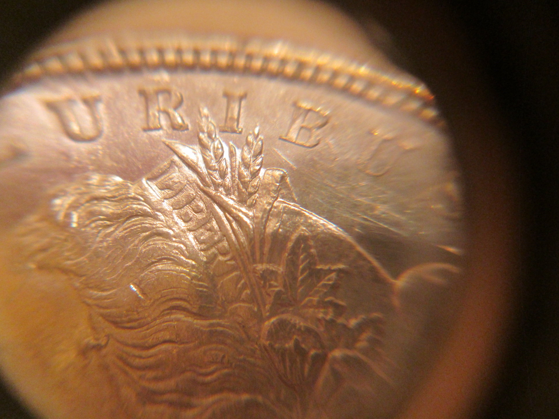 morgan scratch 019.JPG