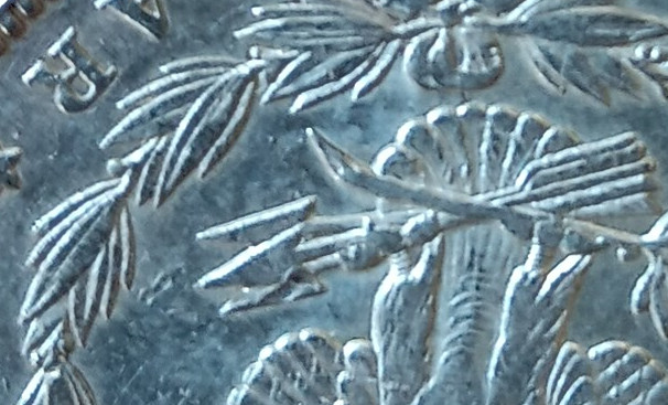 Morgan silver dollar closeup back.jpg