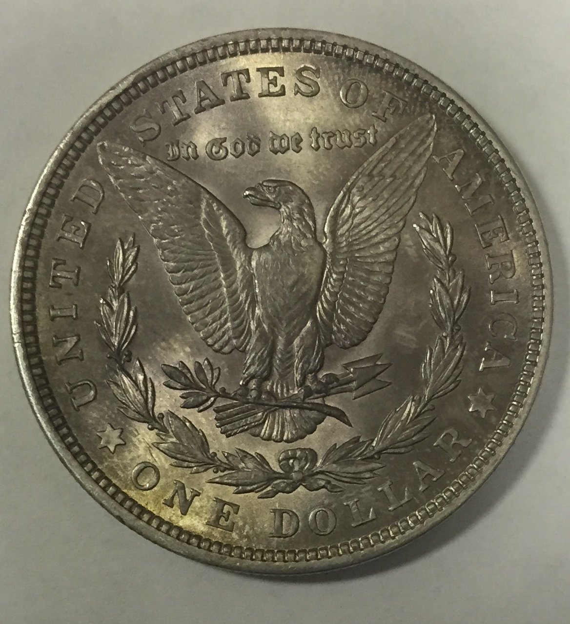Morgan Test Reverse 02032016.jpg