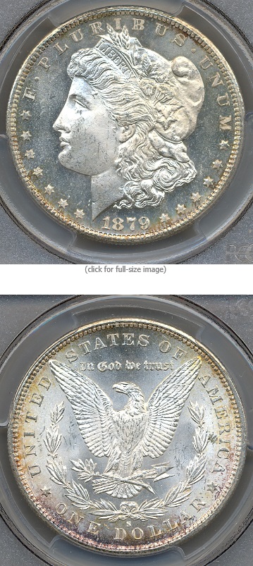 morgan5.jpg