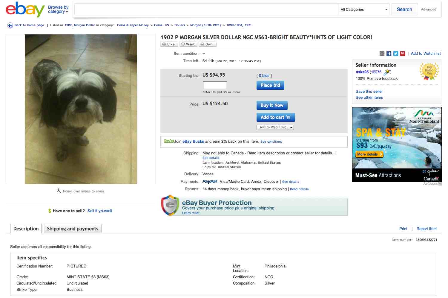Morgan_Dollar_eBay_dog.jpg