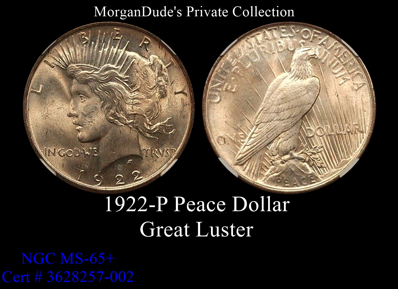 morgandude peace 1922 ms65+.jpg