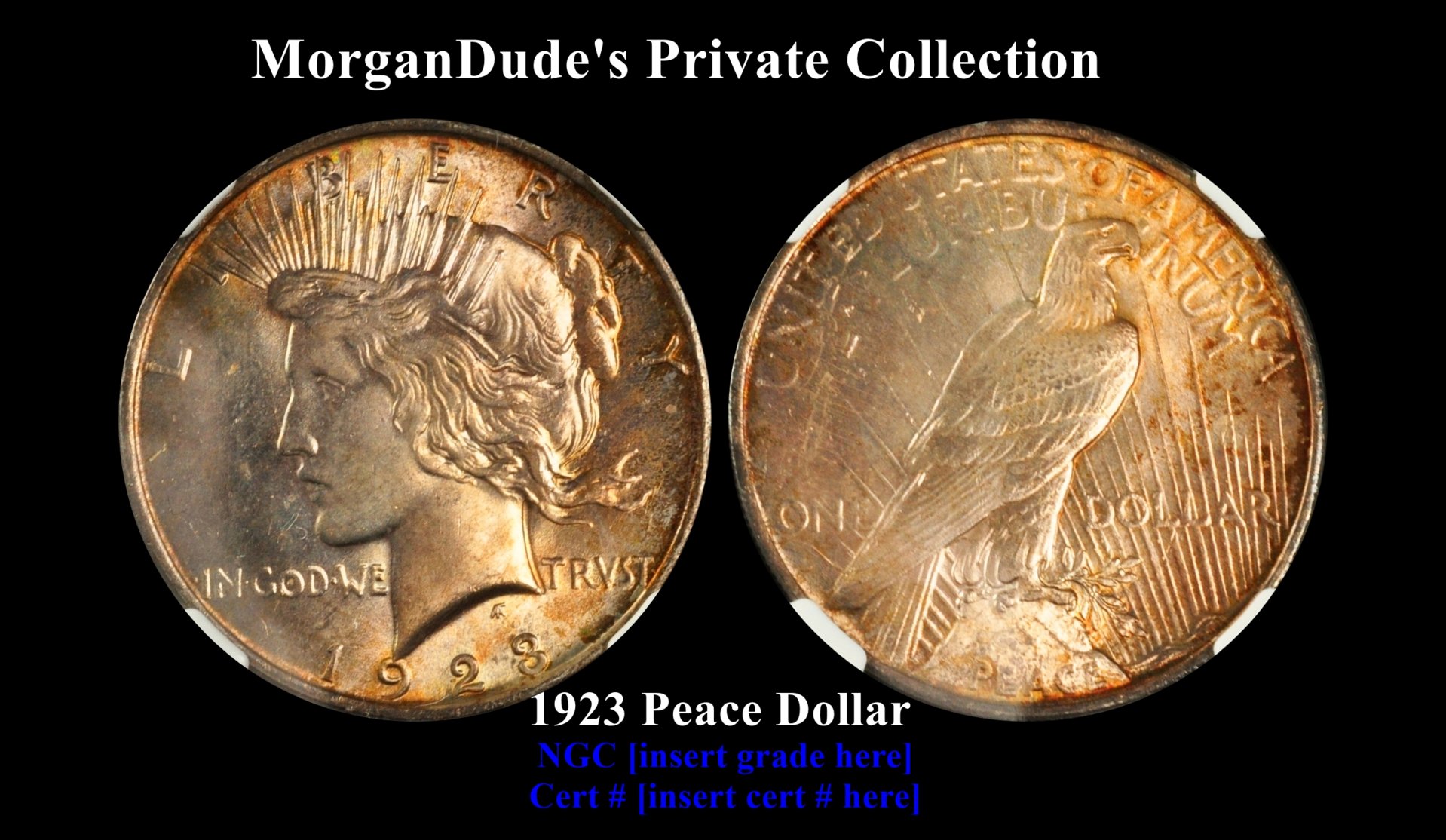 morgandudes peace dollar 1923.jpg