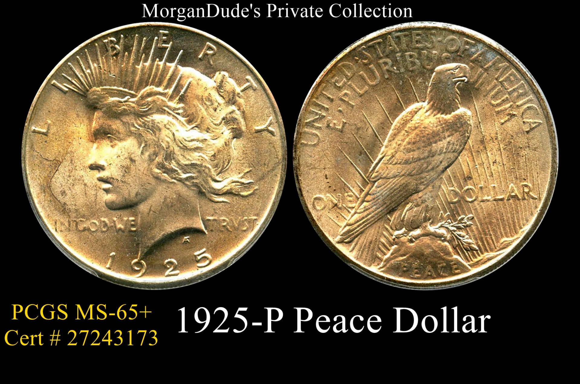 morgans peace 1925 ms65+.jpg
