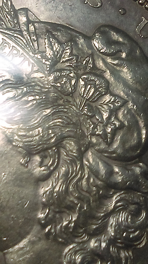 morgn close up.png