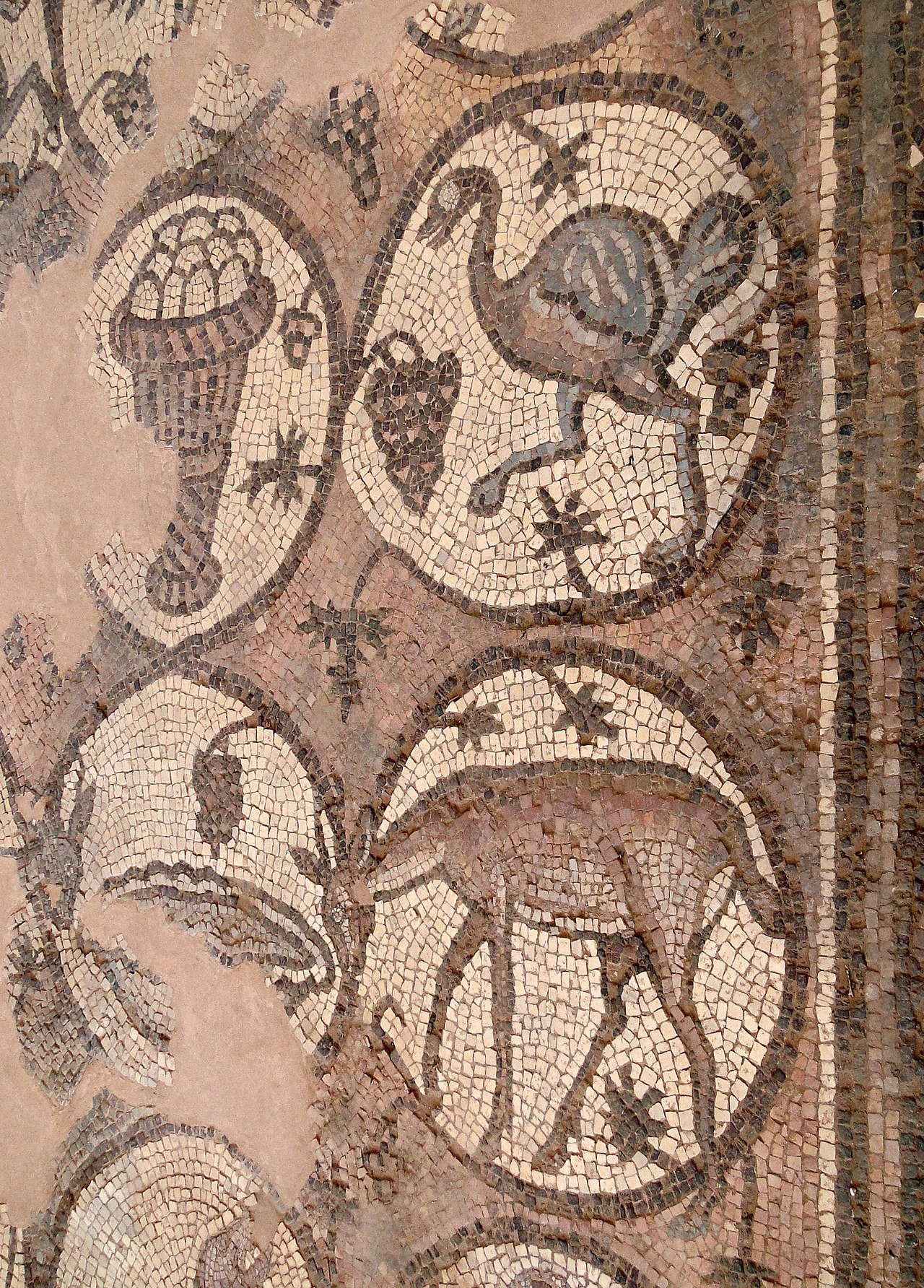 Mosaic_of_Byzantine_Church_of_Petra_02.jpg