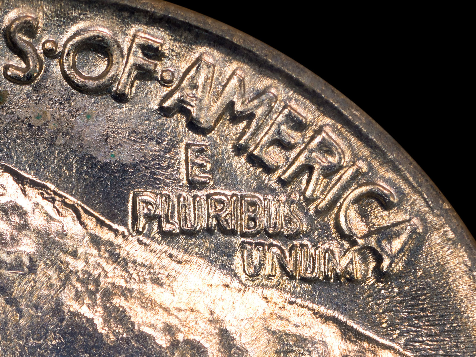 Motto-Detail.jpg
