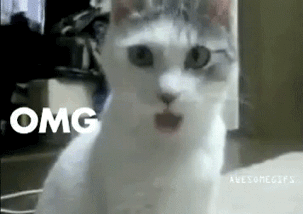 ms-jTYf7R.gif