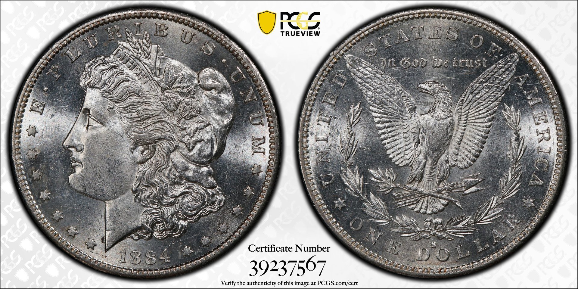 MS60 Morgan.jpg