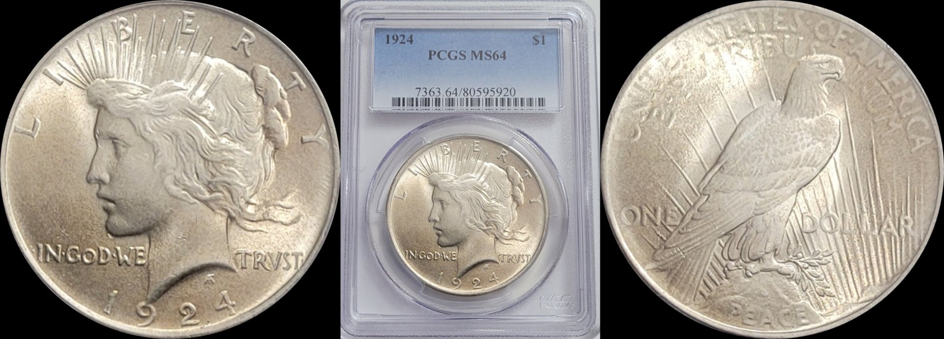 MS64  1924 Peace $ 1a-horz.jpg
