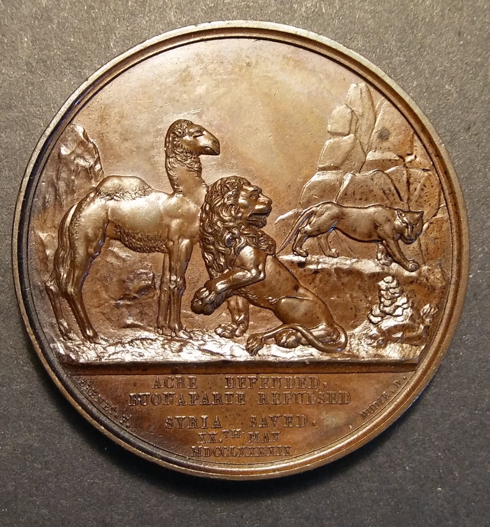 Mudie 7 Defense of Acre Lion Camel R1.jpg