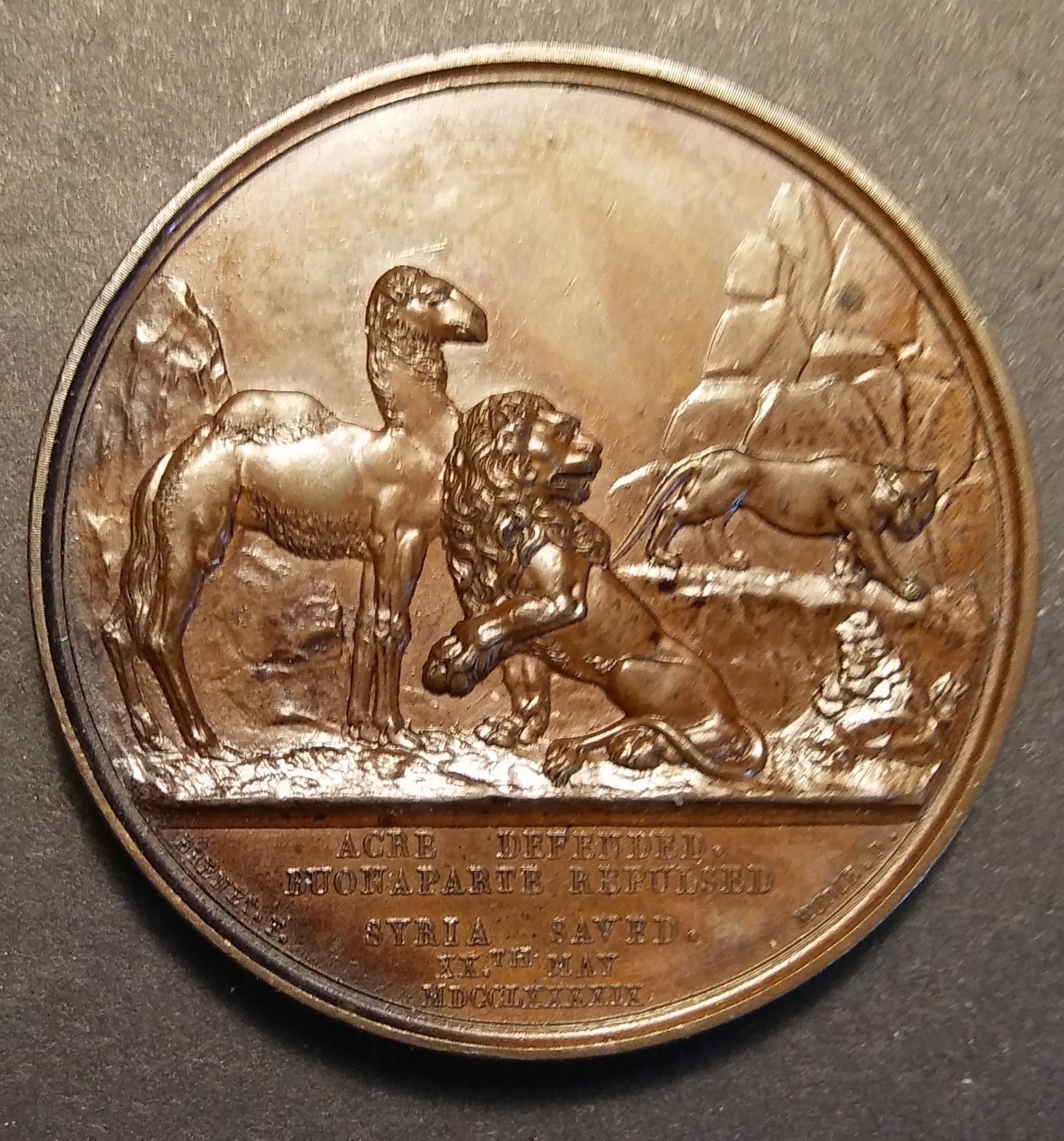 Mudie 7 - Defense of Acre Lion Camel R2.jpg