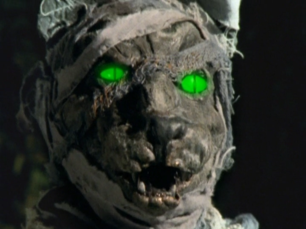 Mummified_Cat_-_Don%27t_Wake_Mummy_%28TV_Episode%29.png