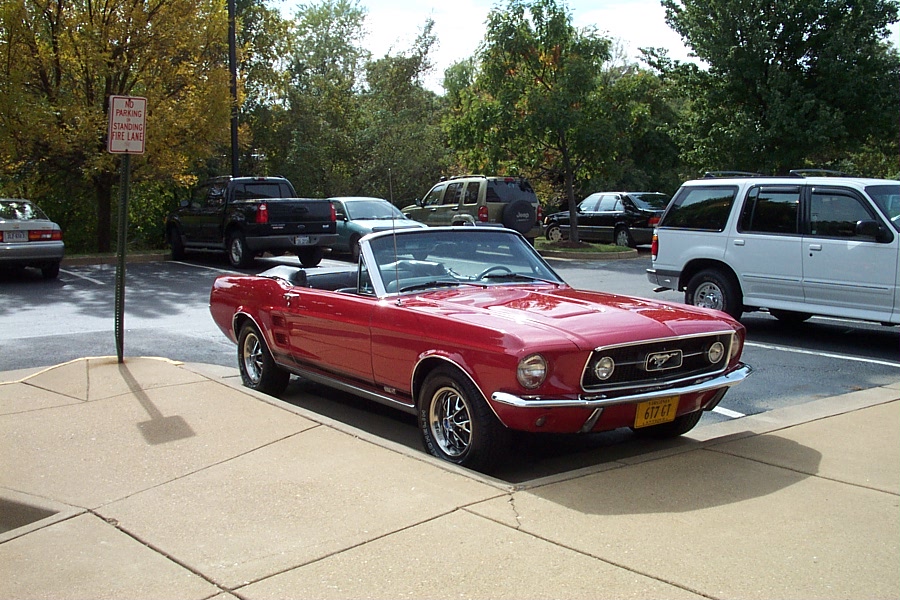 Mustang Pictures 005.jpg