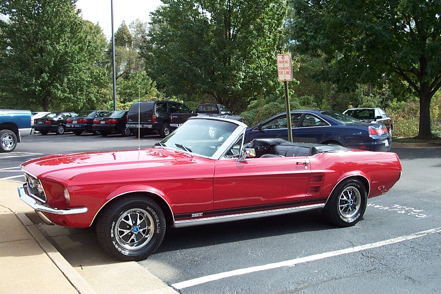 Mustang Pictures 008.jpg