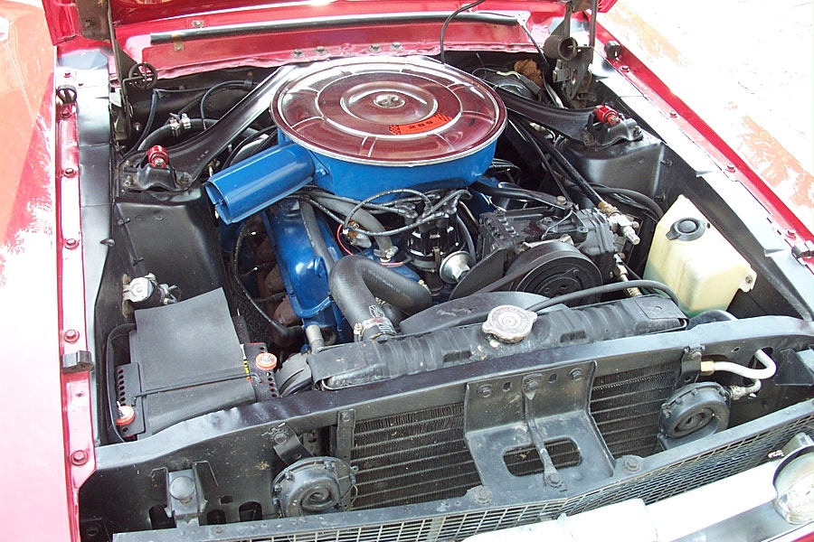 Mustang Pictures 013.jpg