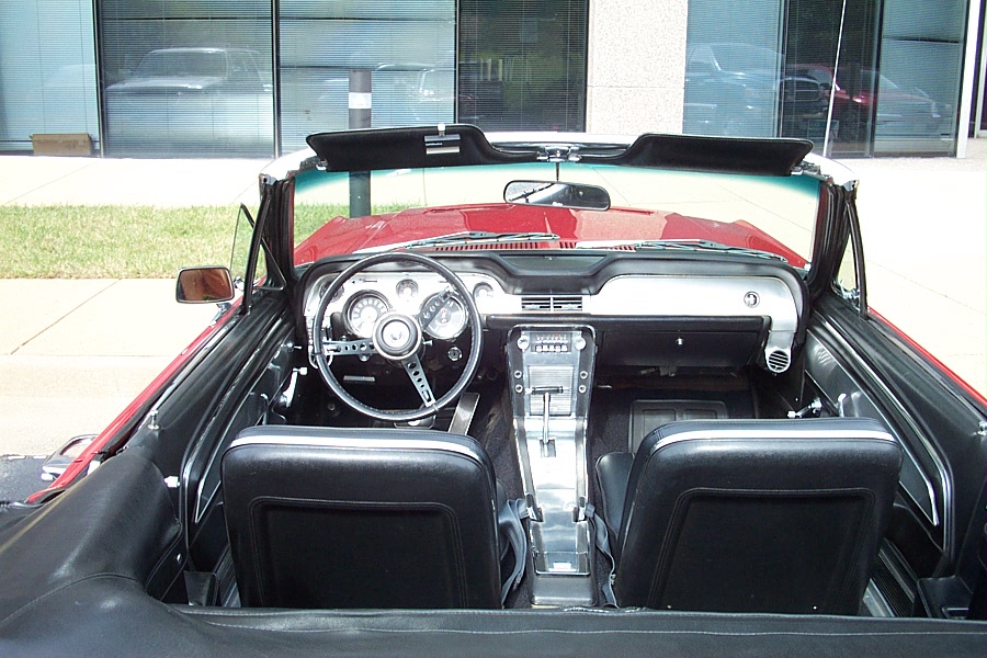 Mustang Pictures 016.jpg