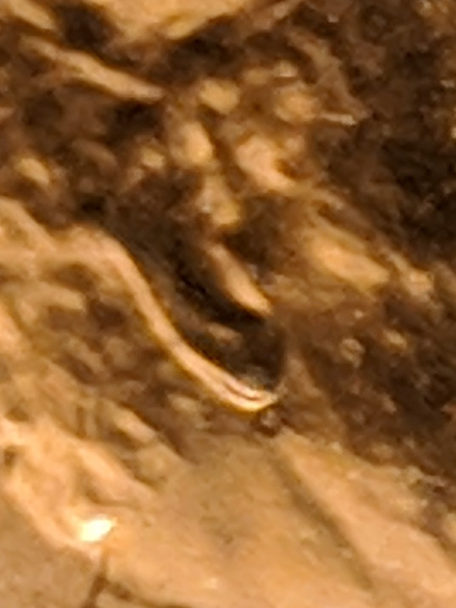 MVIMG_20190627_002318.jpg