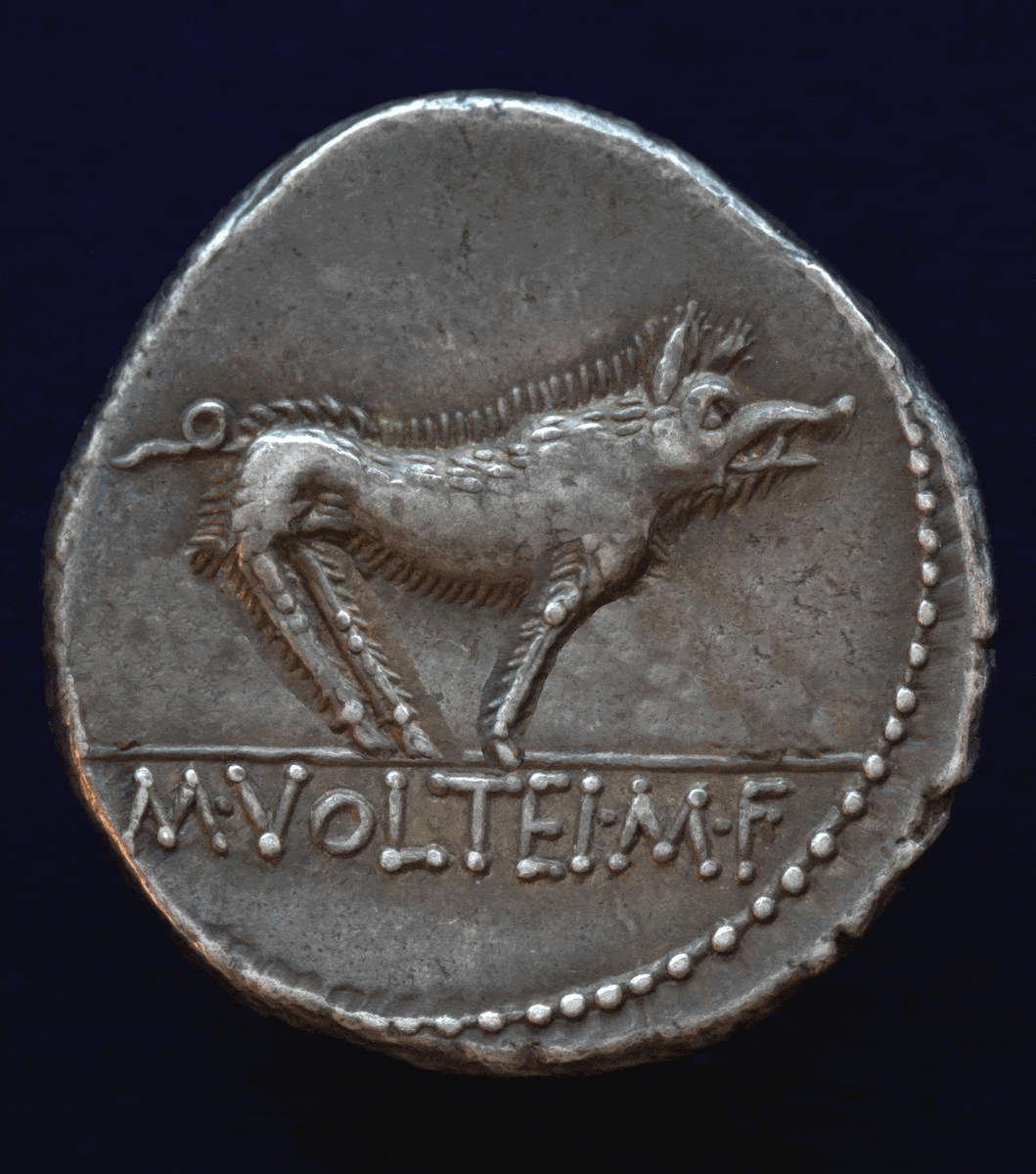 MVolteius.gif
