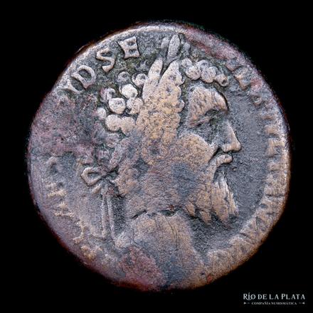 my 1st Diddius sest.jpg