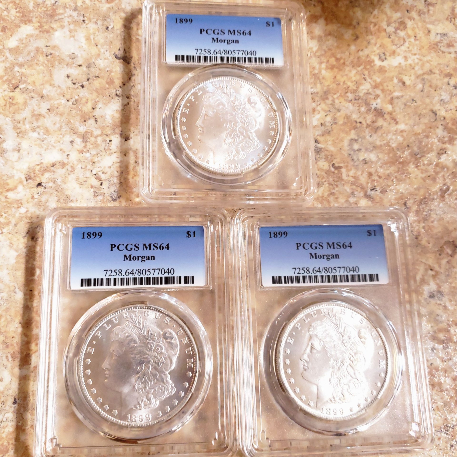 My 3 1899 $'s.jpg