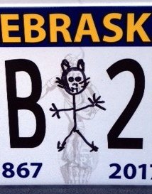 My Mountain Lion License Plate - cropped.JPG