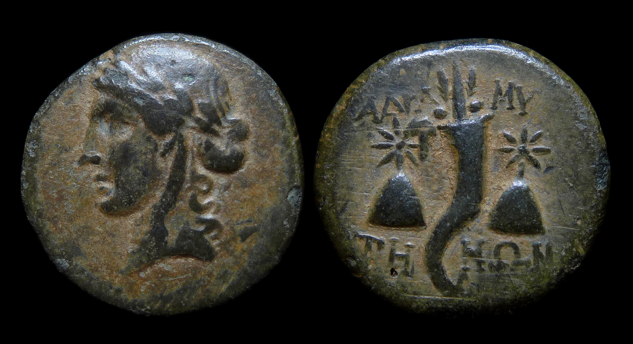 MYSIA, Adramyteion - AE20 Cornucopiae Caps 2292.jpg
