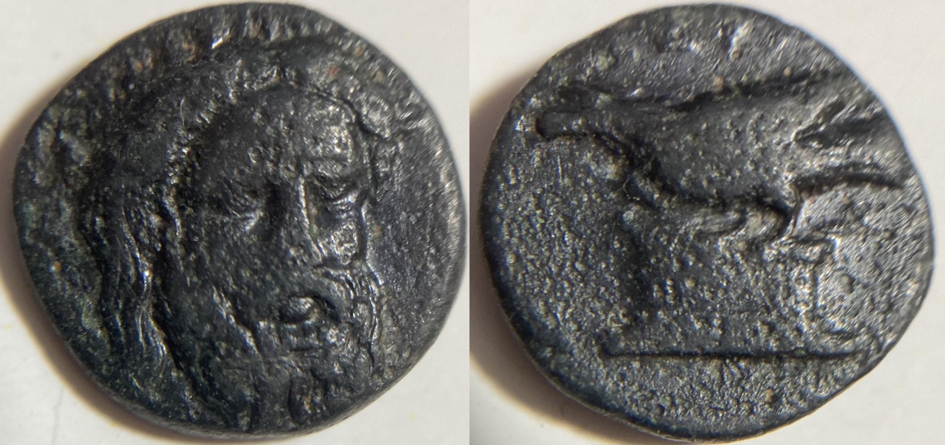 Mysia, Adramyteion SNG France 2.JPG