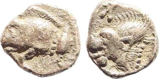 mysia-hemiobol.jpg