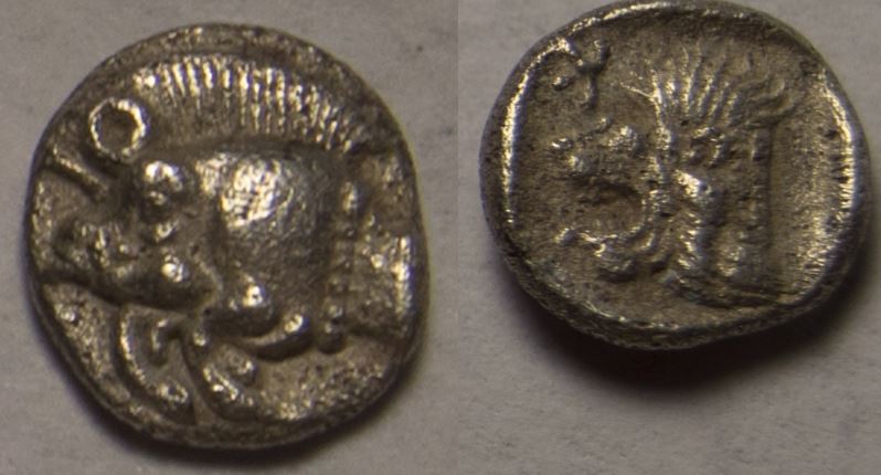 Mysia Kyzikos AR Hemiobol 480-450 BCE 0.4g Boar-Lion Sear 3850.JPG