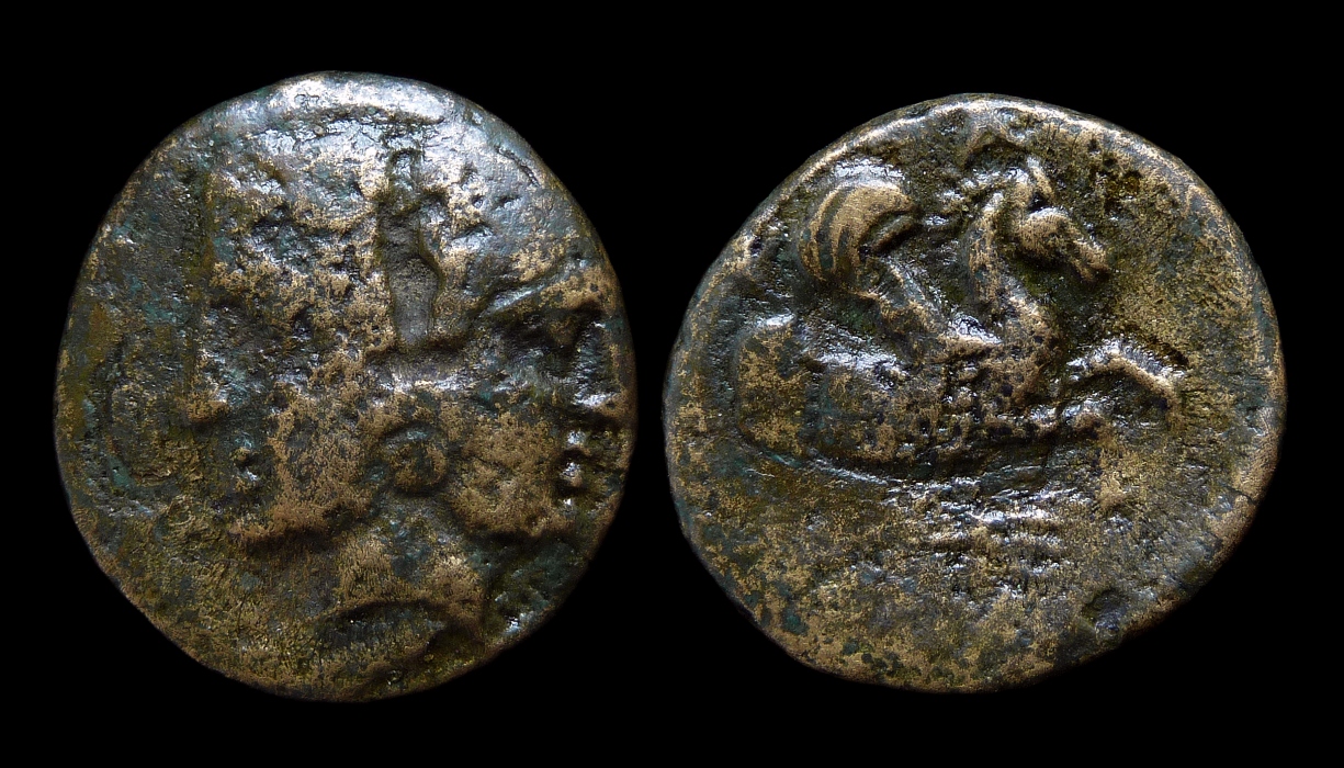 MYSIA Lampsakos - AE17 Janiform Pegasos Protome 2302.jpg