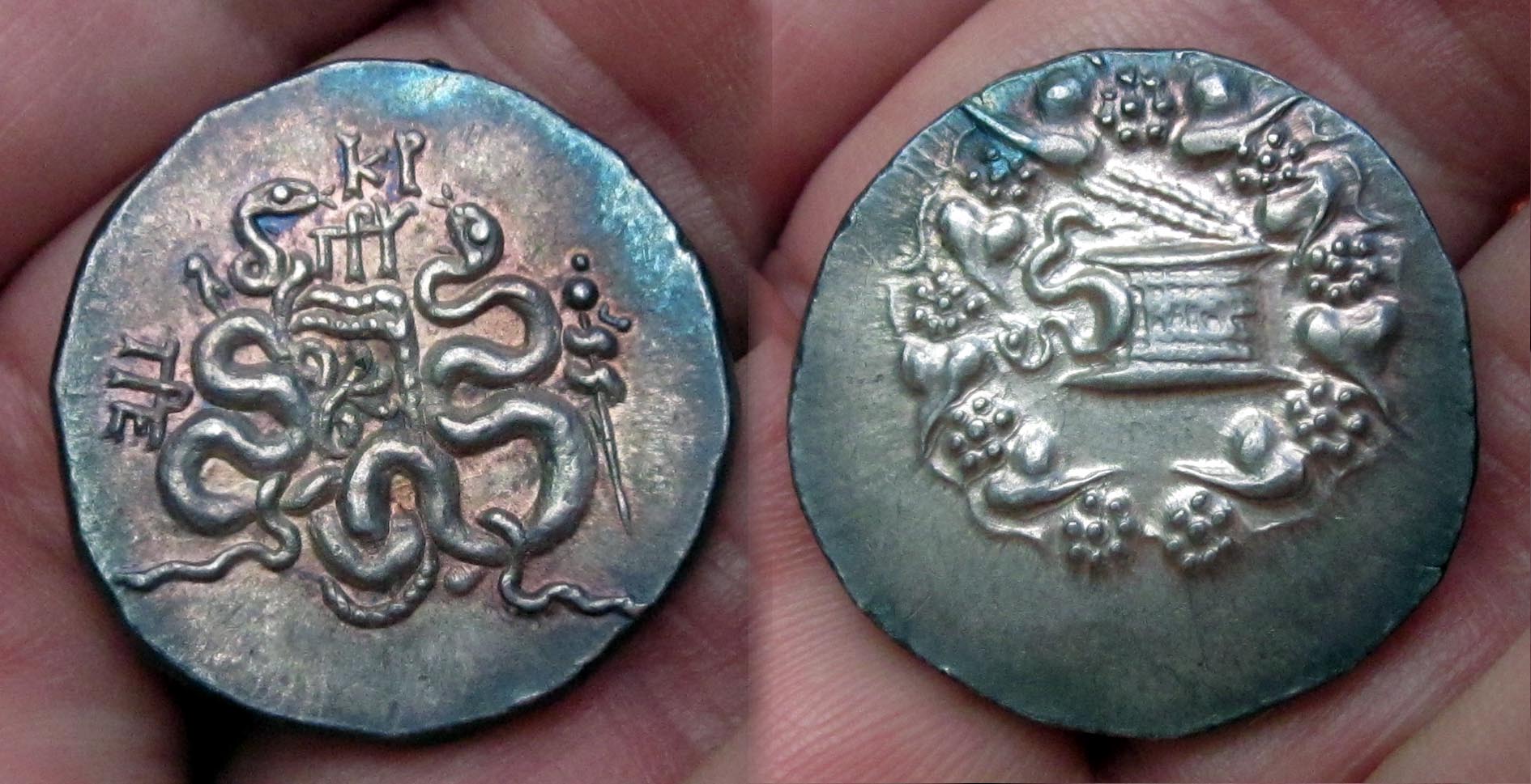 Mysia Pergamon Snakes Collage.jpg
